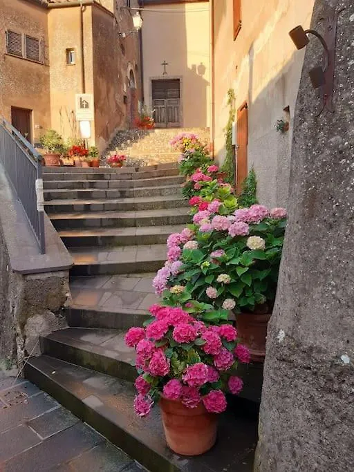 Feriehus Casa Il Girasole Villa Boccheggiano